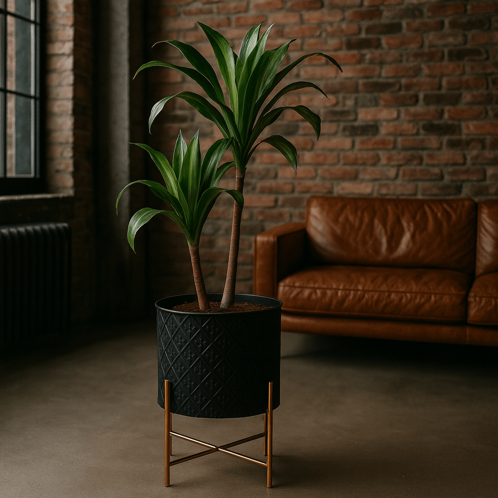 Macetero Negro con Relieve y Base Dorada - KB Home