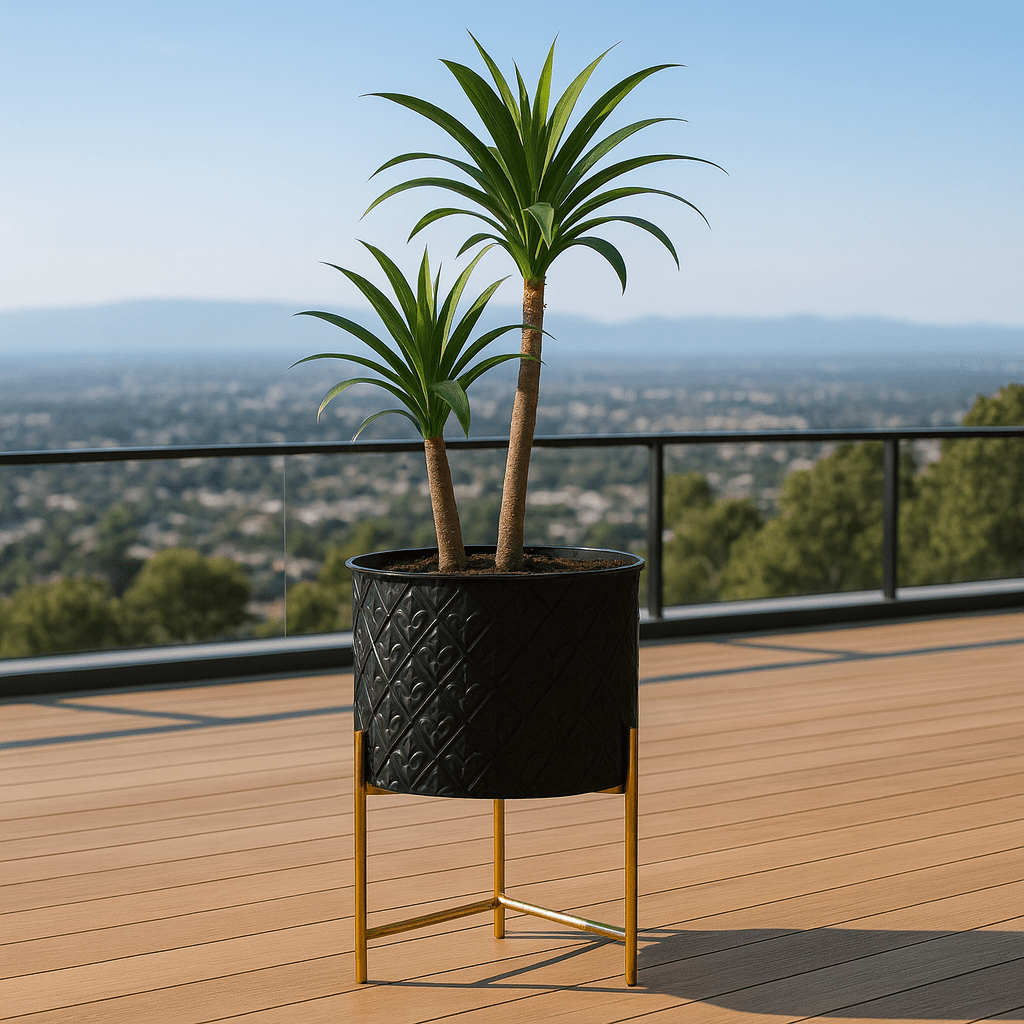 Macetero Negro con Relieve y Base Dorada - KB Home