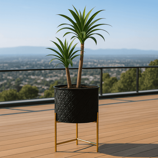 Macetero Negro con Relieve y Base Dorada - KB Home