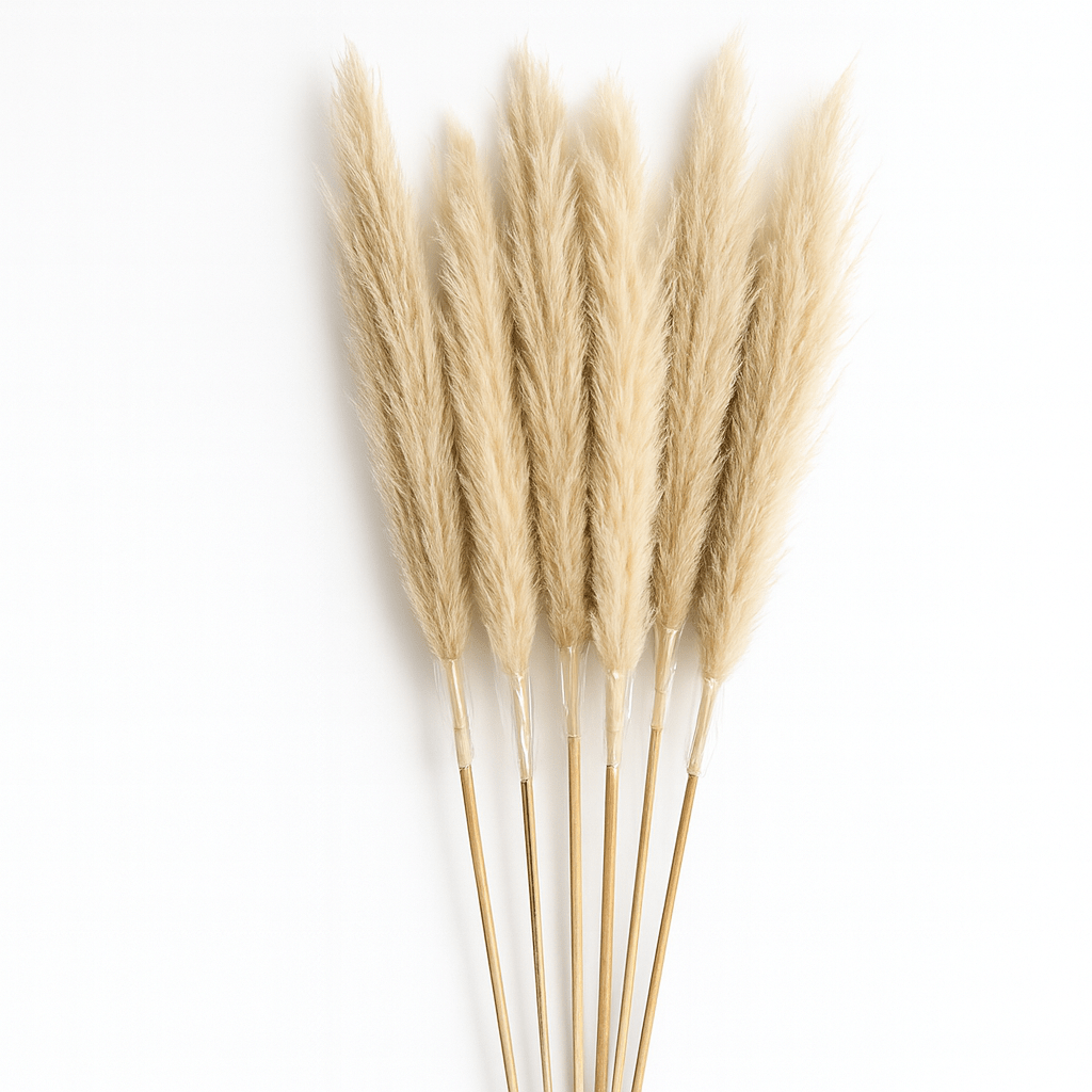Set de 8 Pampas Grass Decorativas - KB Home