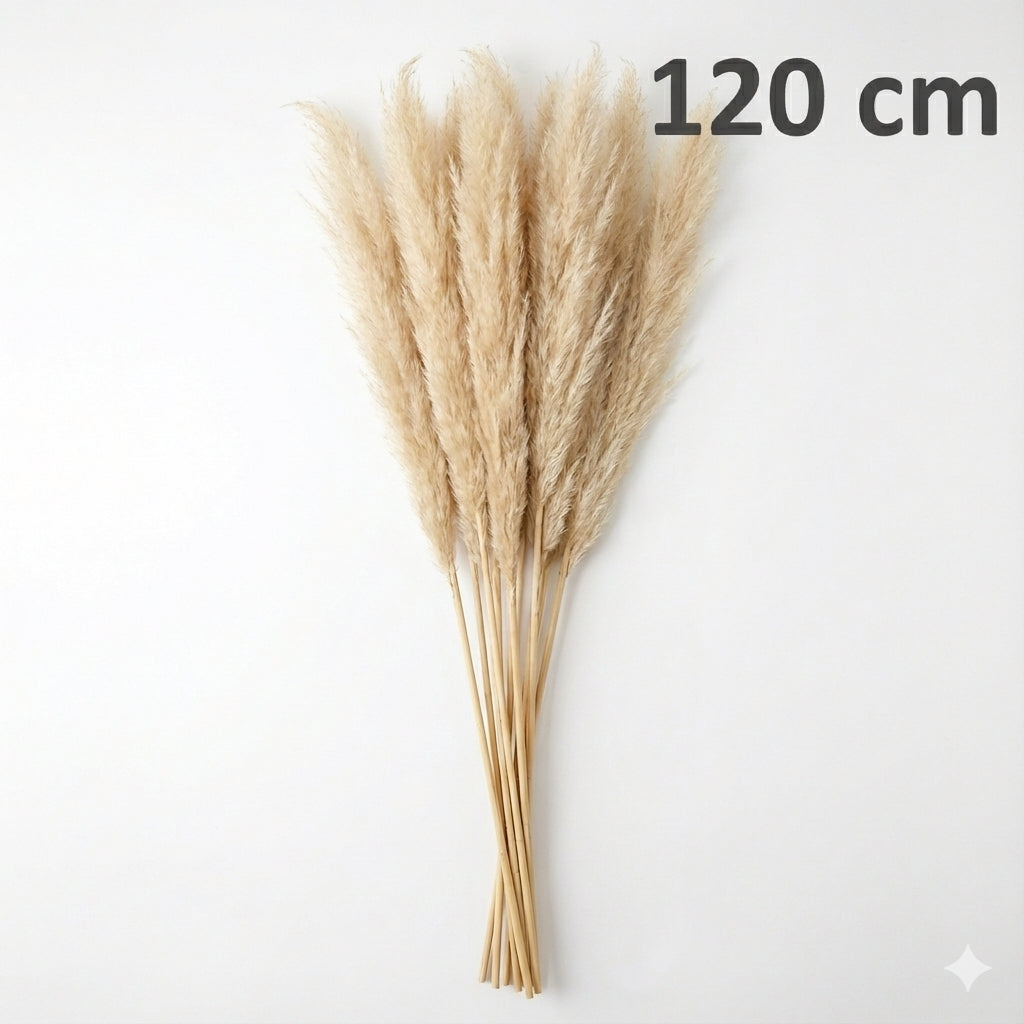 Set de 8 Pampas Grass Decorativas