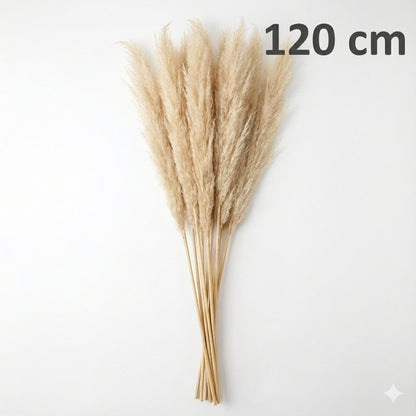 Set de 8 Pampas Grass Decorativas